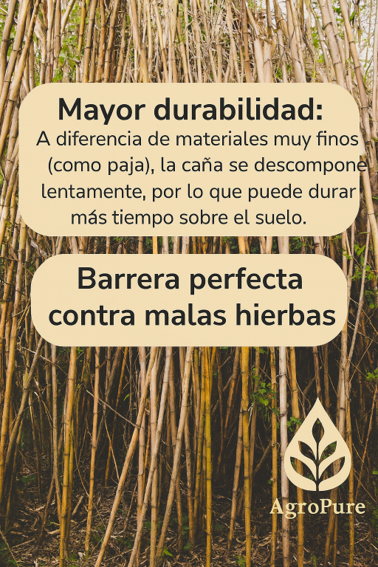 Acolchado Caña 50L