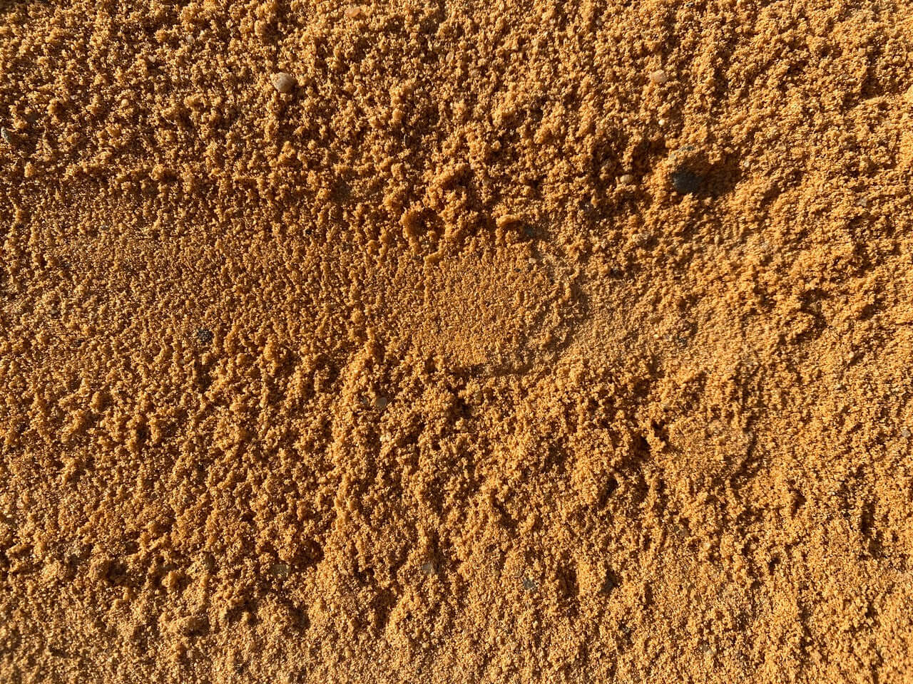 Arena siembra canónigos Mineravi