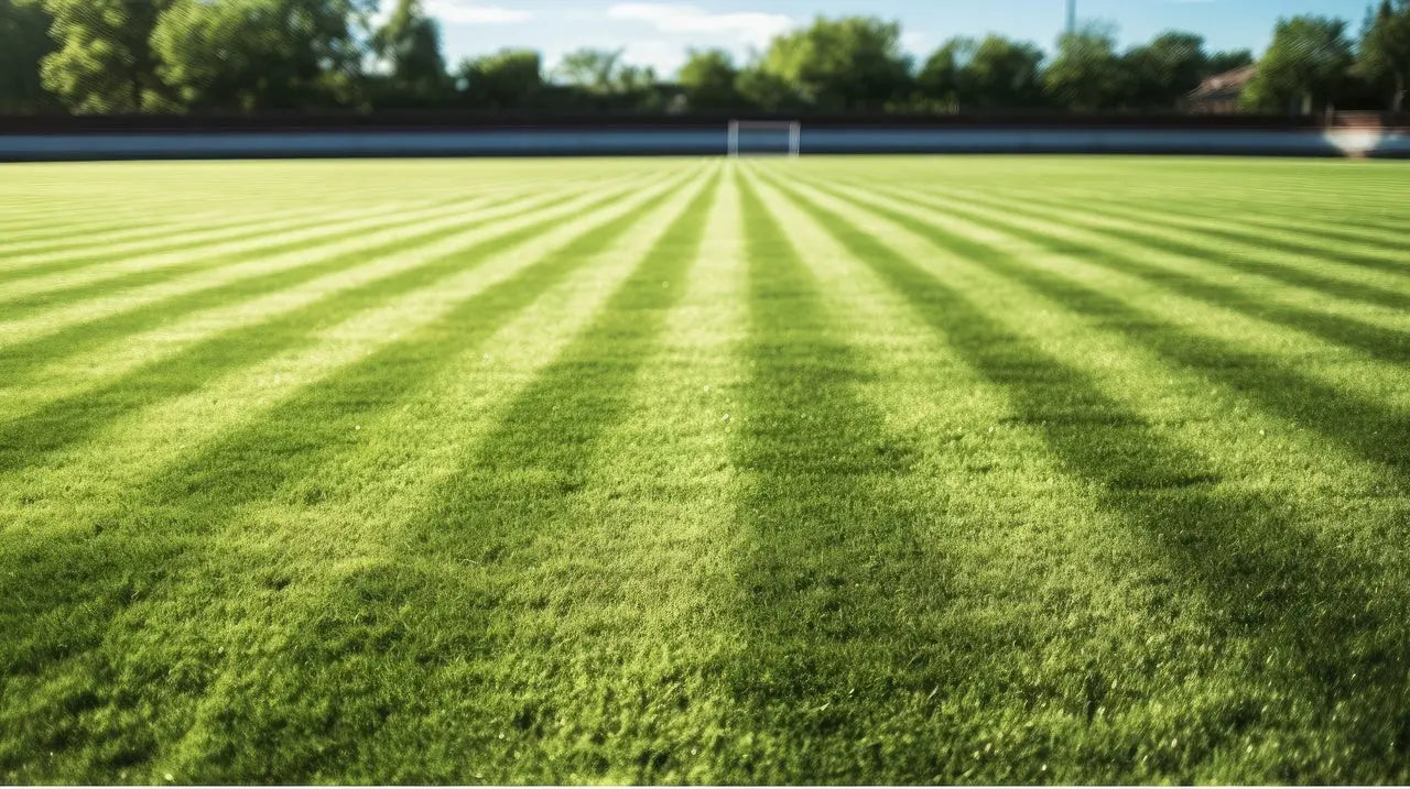 Sustrato para Césped Deportivo Premium Mineravi