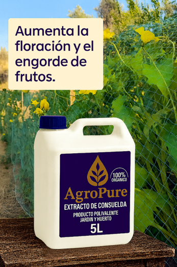 Extracto de Consuelda 5 L