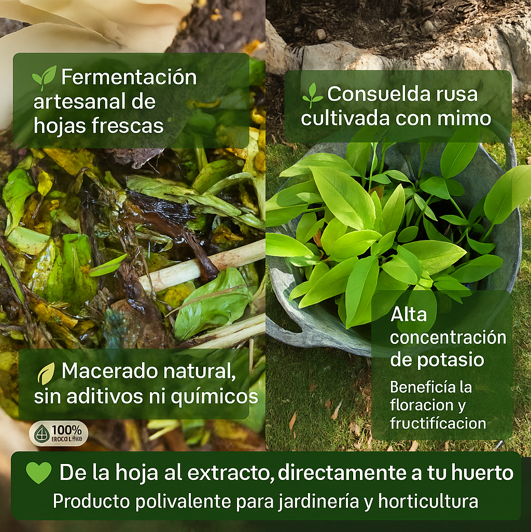 Extracto de Consuelda 5 L