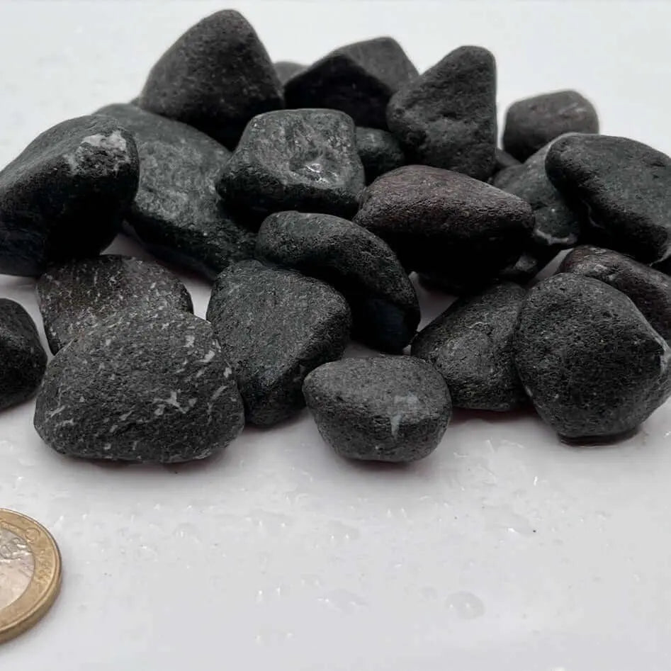 Piedra Negra acuarios Vetonek