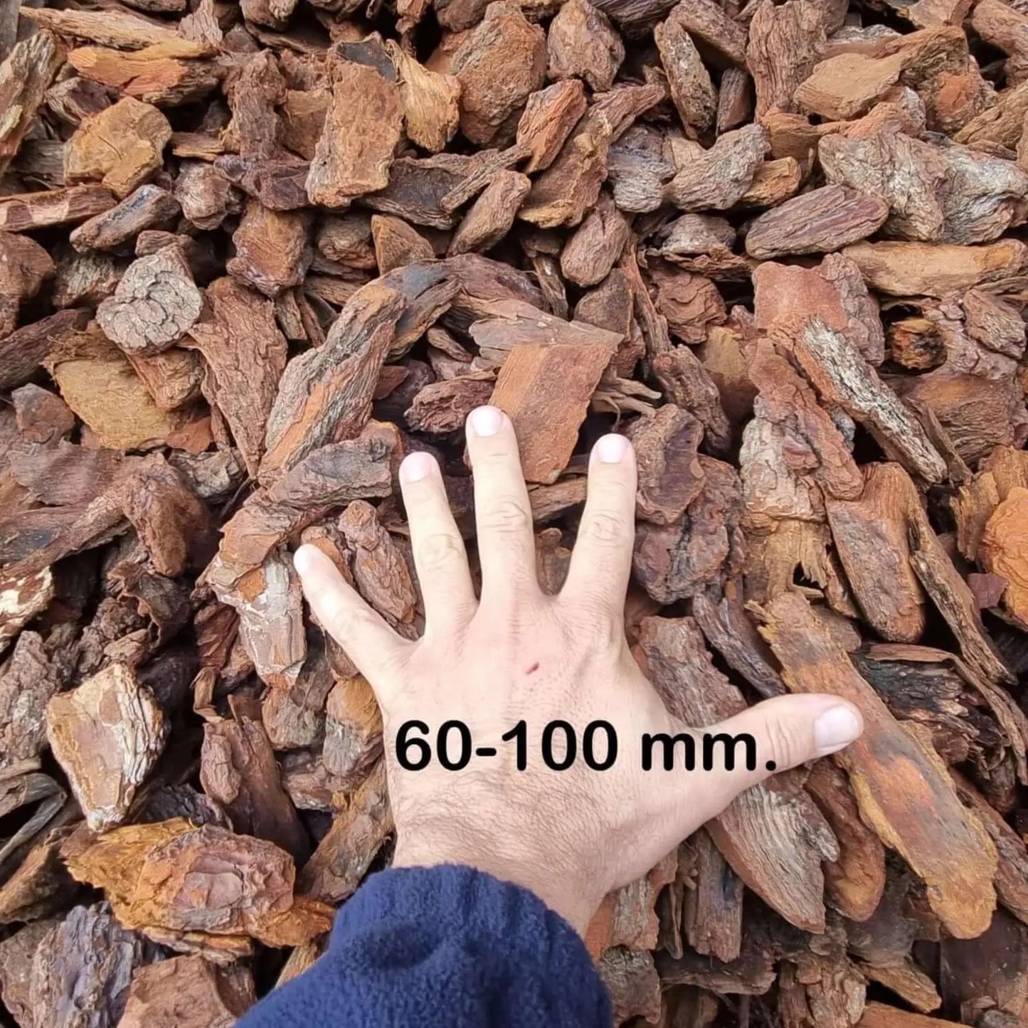 Corteza pino decorativa Corteza Decorativa, Corteza Jardin, Corteza Pino, Decoracion plantas, Decorativo Vegetal, Material reciclado, Mulching, Original Diferente, Sustrato, Sustrato plantas, Sustratos