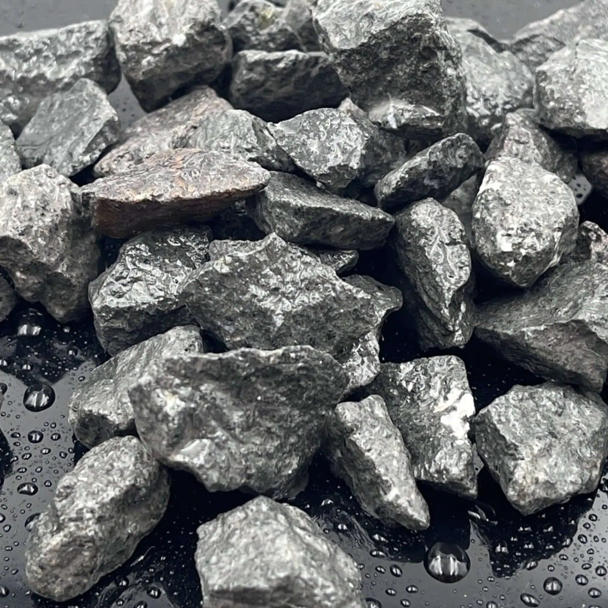 Piedra Negra acuarios Vetonek