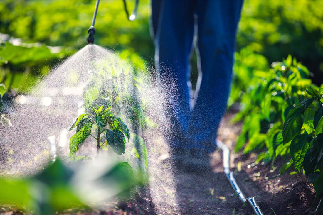Use and Application of Kaolin Powder for Plant Protection