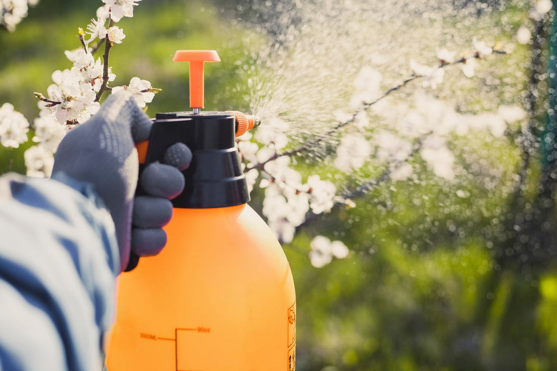 El-Caolín-Agrícola-Un-Aliado-Natural-en-el-Control-de-Plagas-y-Enfermedades Mineravi