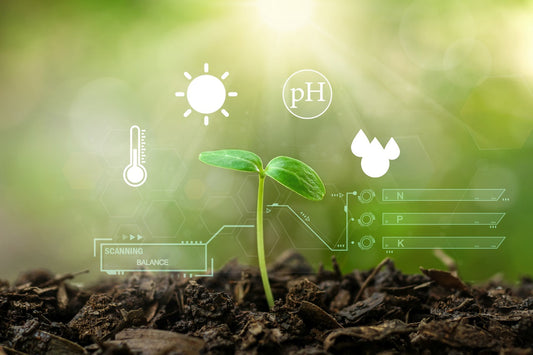 Cómo-se-aplica-la-Leonardita Mineravi