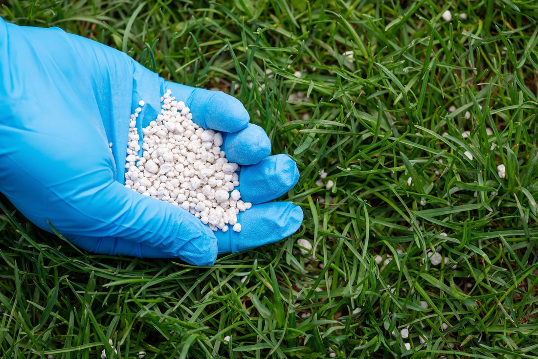 Fertilizante enmienda granulada: Mejora tu cesped facilmente.