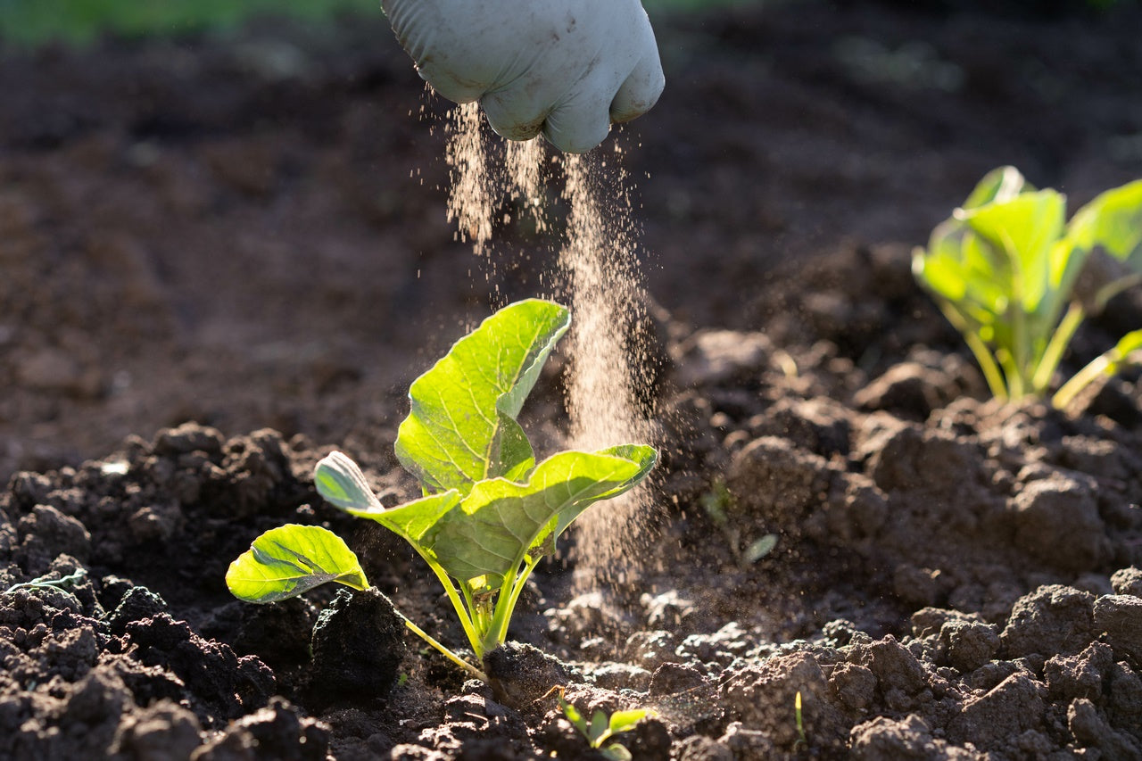 Diferencia-entre-Sustrato-ecológico-y-Fertilizante-ecológico Mineravi