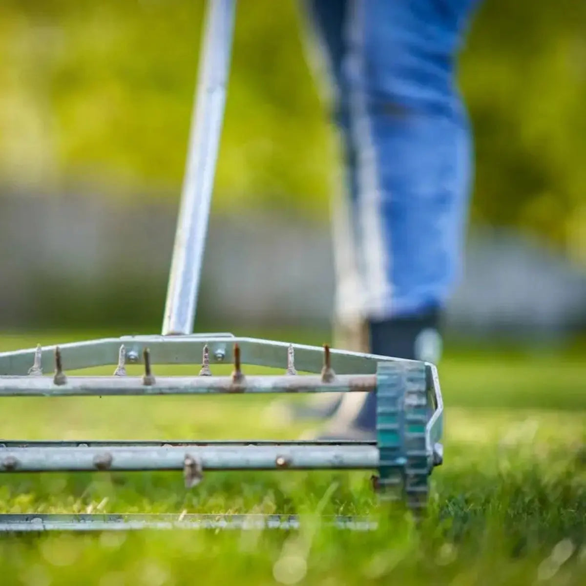 Anti musgo y reverdecedor de césped natural Mineravi zulueta