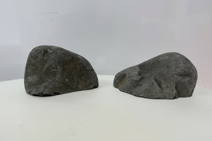 أوعية مزخرفة لأحواض السمك في ألبينو