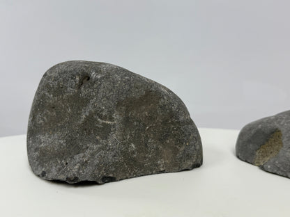 أوعية مزخرفة لأحواض السمك في ألبينو