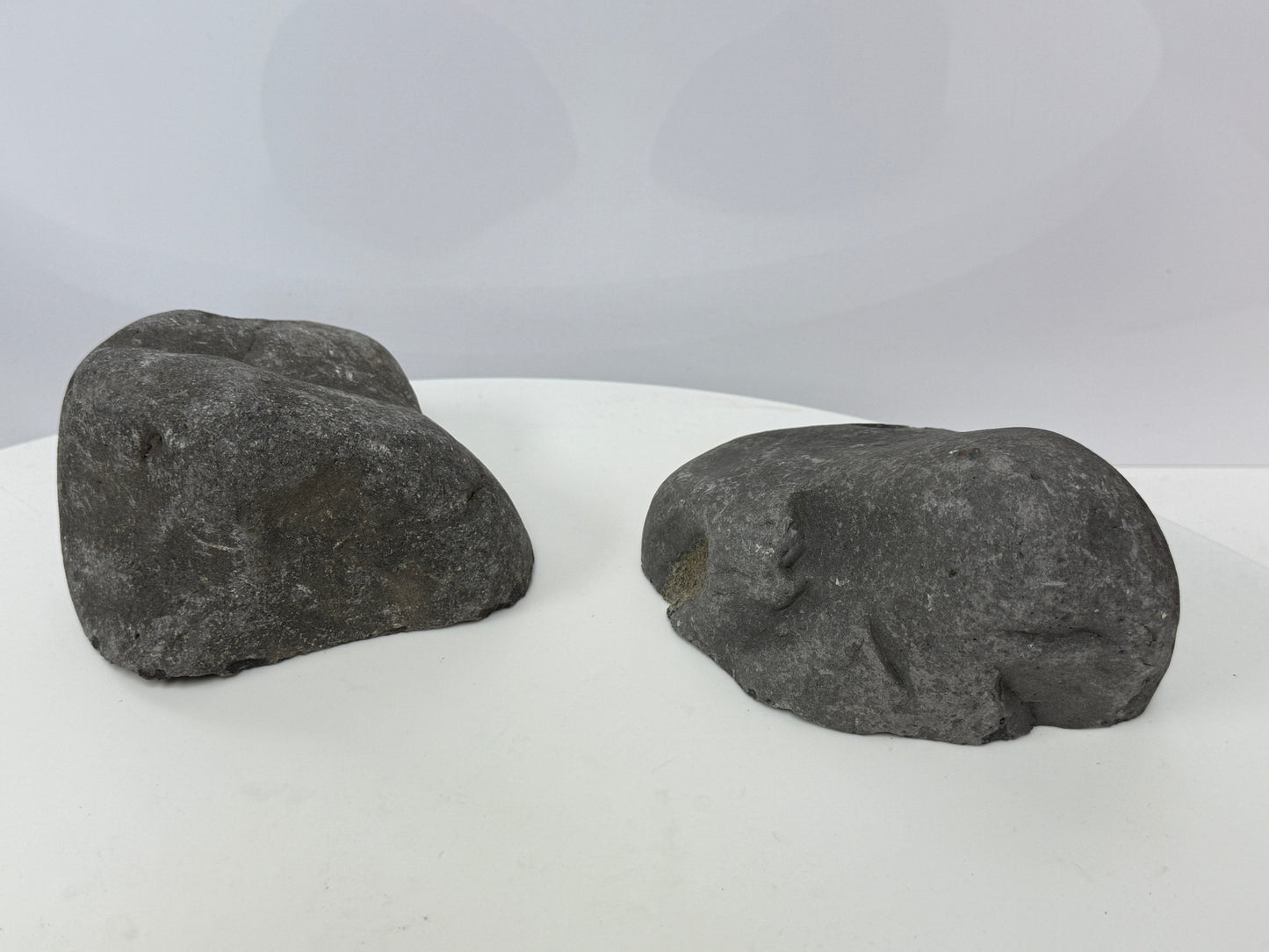 أوعية مزخرفة لأحواض السمك في ألبينو