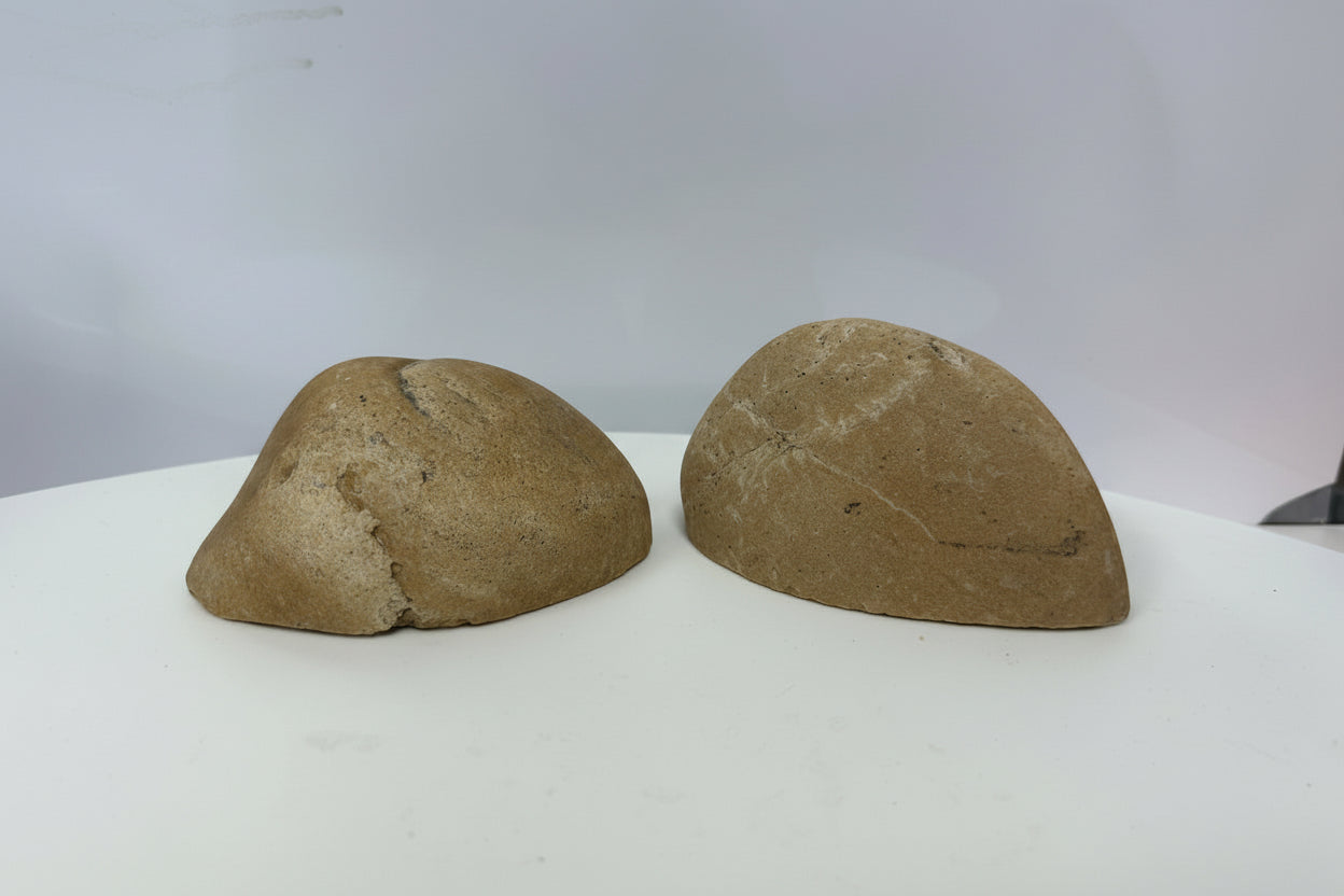 أوعية مزخرفة لأحواض السمك في ألبينو