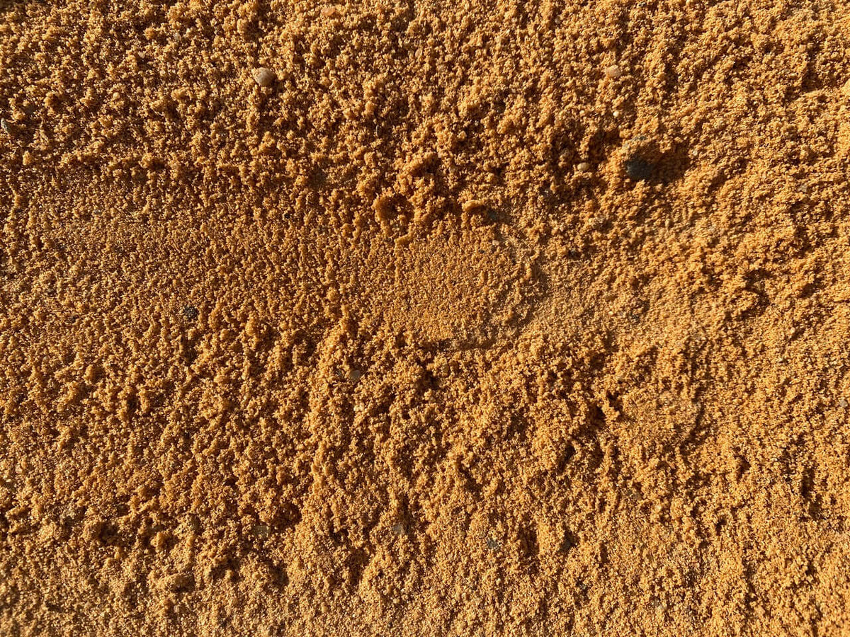 Arena siembra canónigos Mineravi
