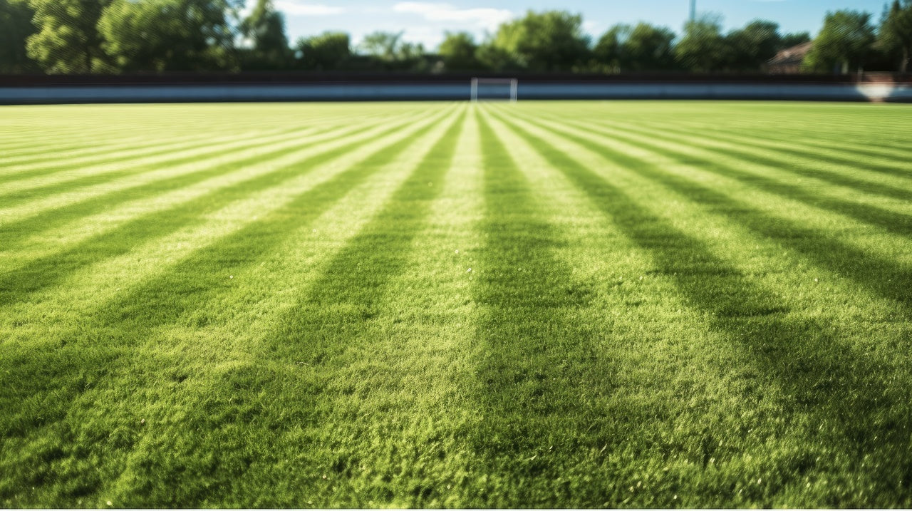 Premium sports grass substrate
