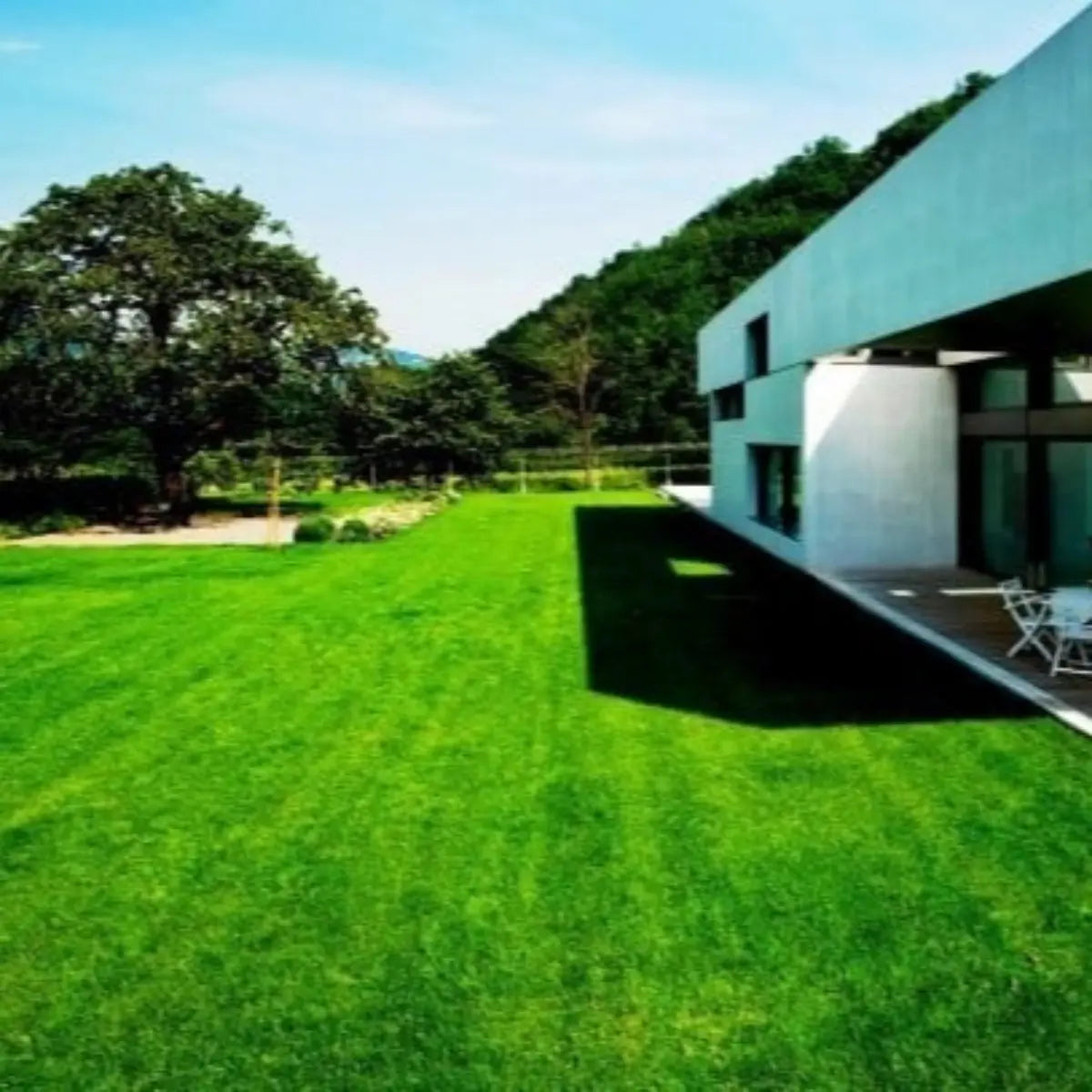 Semillas para césped especializadas por uso y zona zulueta