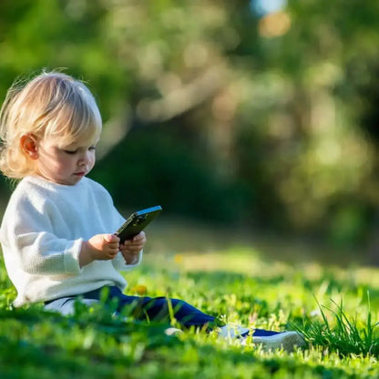 Anti musgo y reverdecedor de césped natural Mineravi zulueta