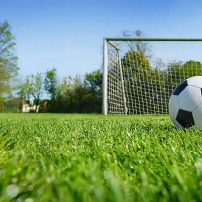 Anti musgo y reverdecedor de césped natural Mineravi zulueta