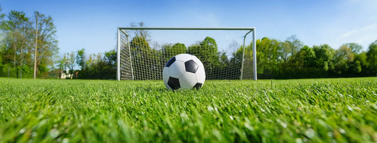 Sustrato para Césped Deportivo Premium Mineravi