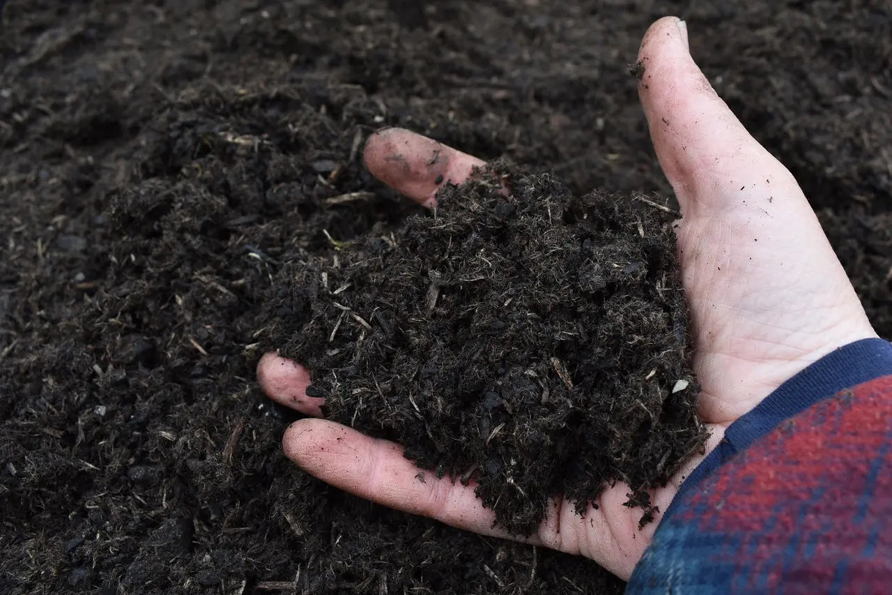 Vermichar biochar y humus