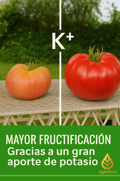 Extracto de Consuelda 5 L 