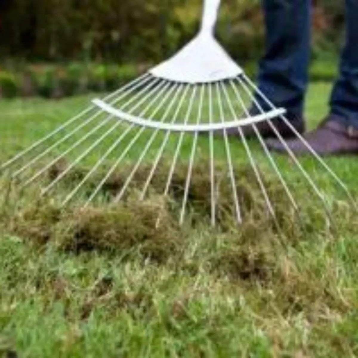 Anti musgo y reverdecedor de césped natural Mineravi Vetonek