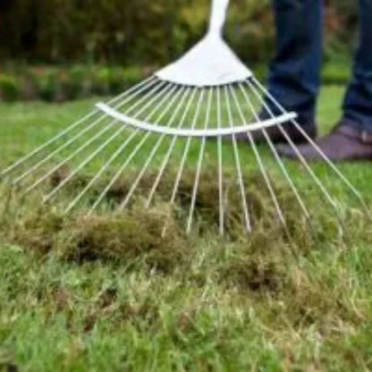 Anti musgo y reverdecedor de césped natural Mineravi Vetonek