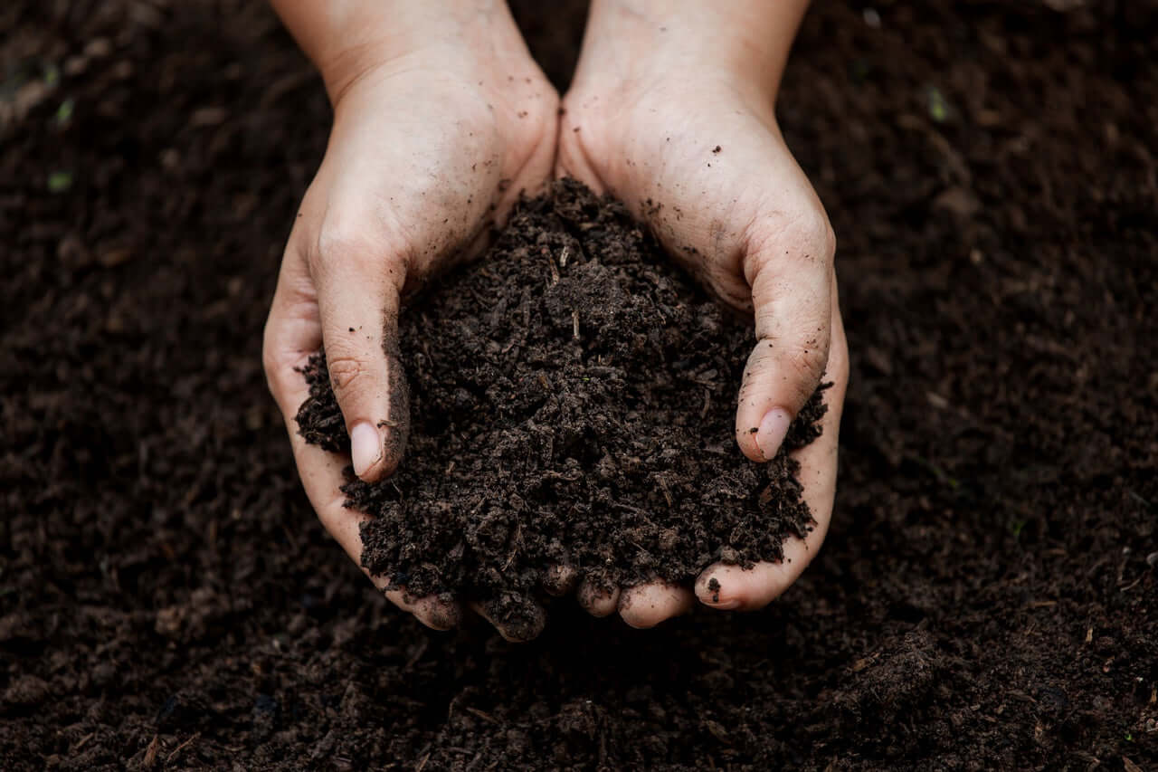 Bio Terra Mix - Compost Eco Completo