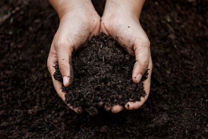 Bio Terra Mix - Compost ecologico completo