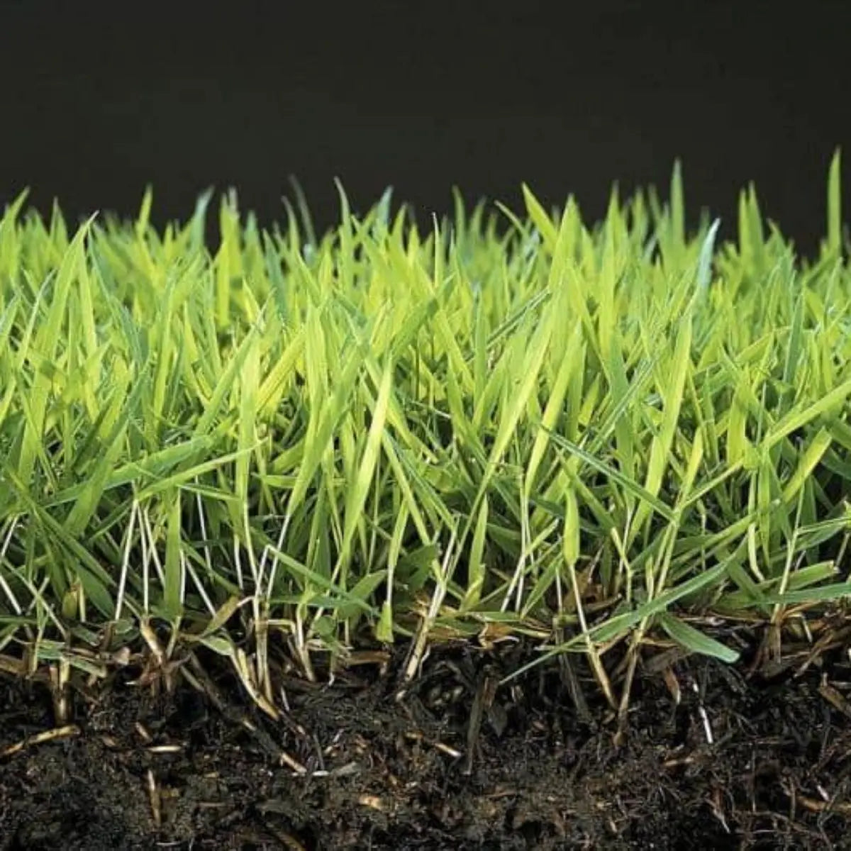 Anti musgo y reverdecedor de césped natural Mineravi Vetonek