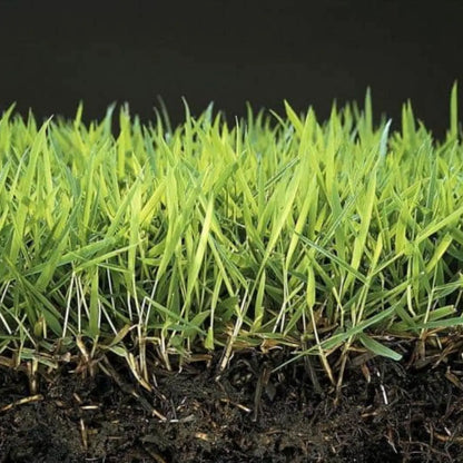 Anti musgo y reverdecedor de césped natural Mineravi Vetonek