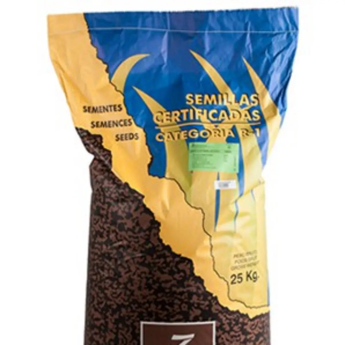 Semillas para césped especializadas por uso y zona zulueta