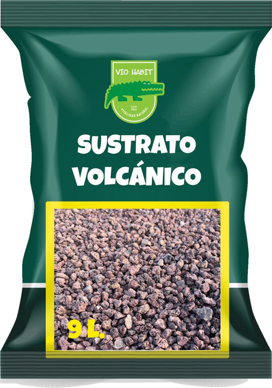Volcanic substrate for aquariums - saw inhabitants
