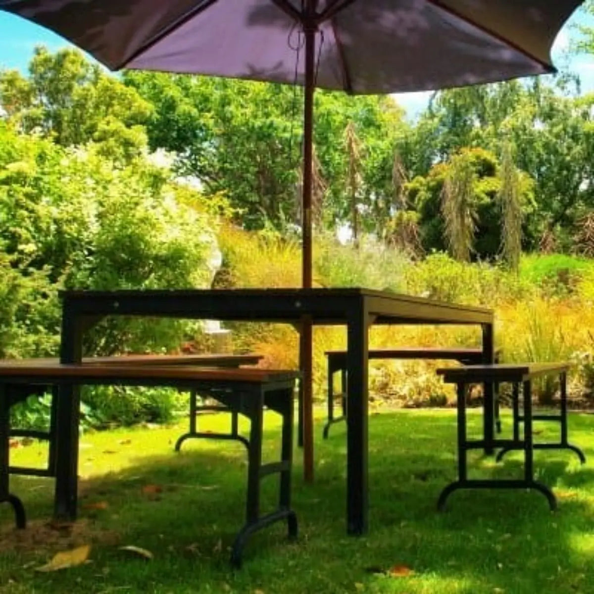 Semillas para césped especializadas por uso y zona zulueta