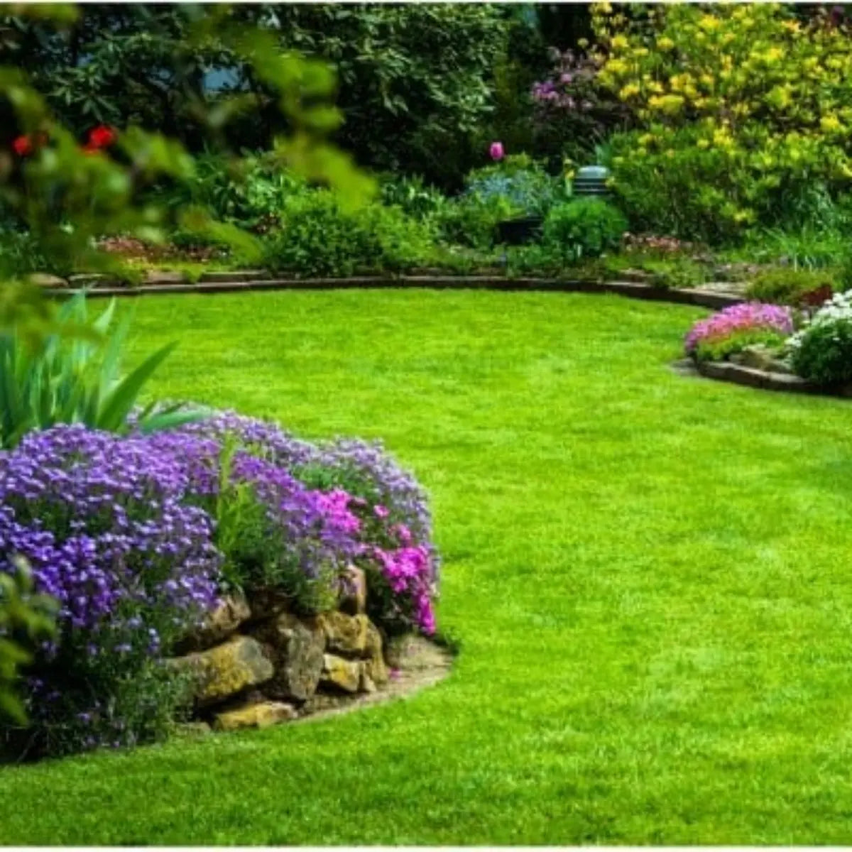 Semillas para césped especializadas por uso y zona zulueta