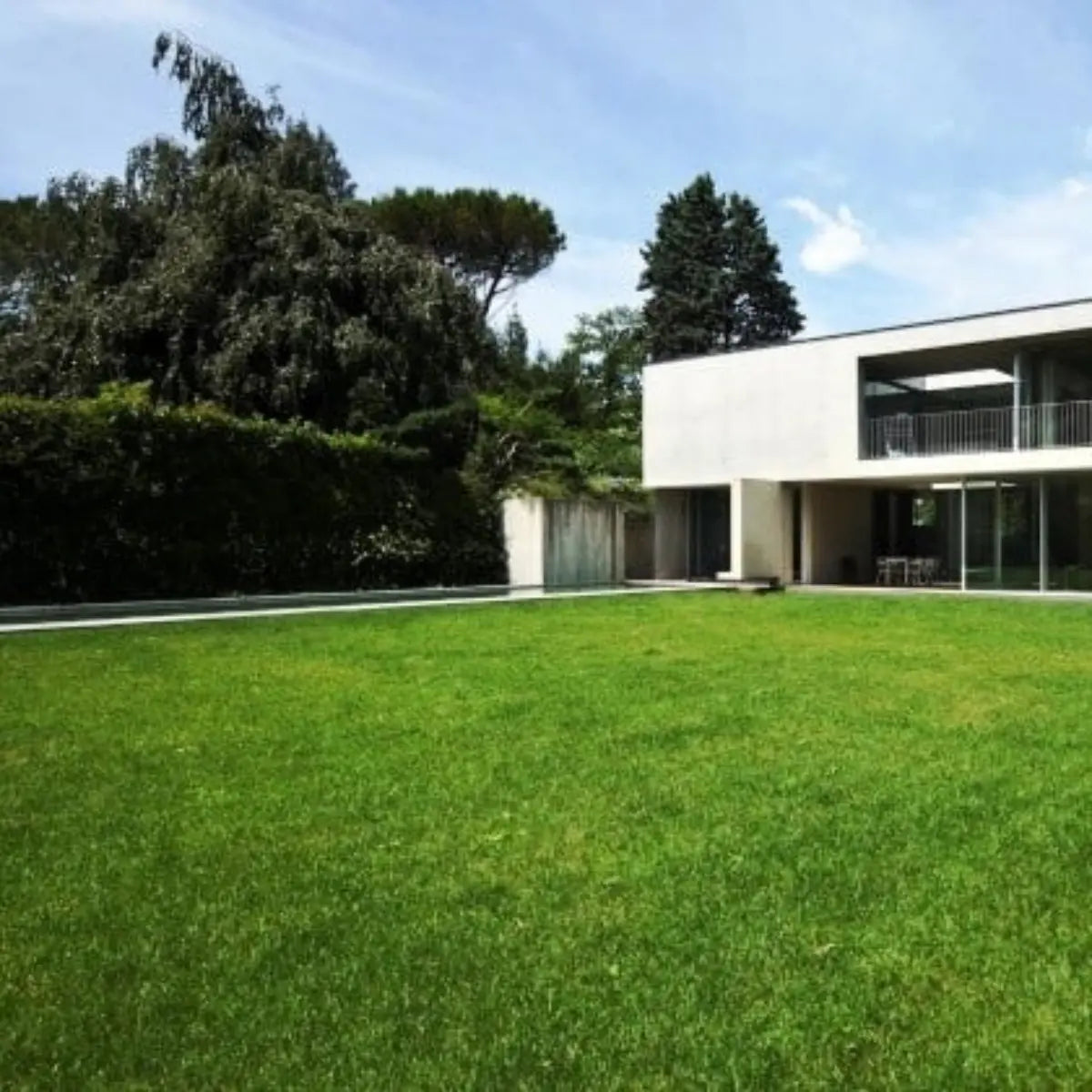 Semillas para césped especializadas por uso y zona zulueta