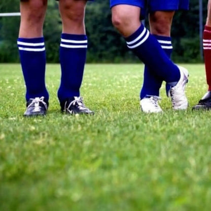 Semillas para césped especializadas por uso y zona zulueta